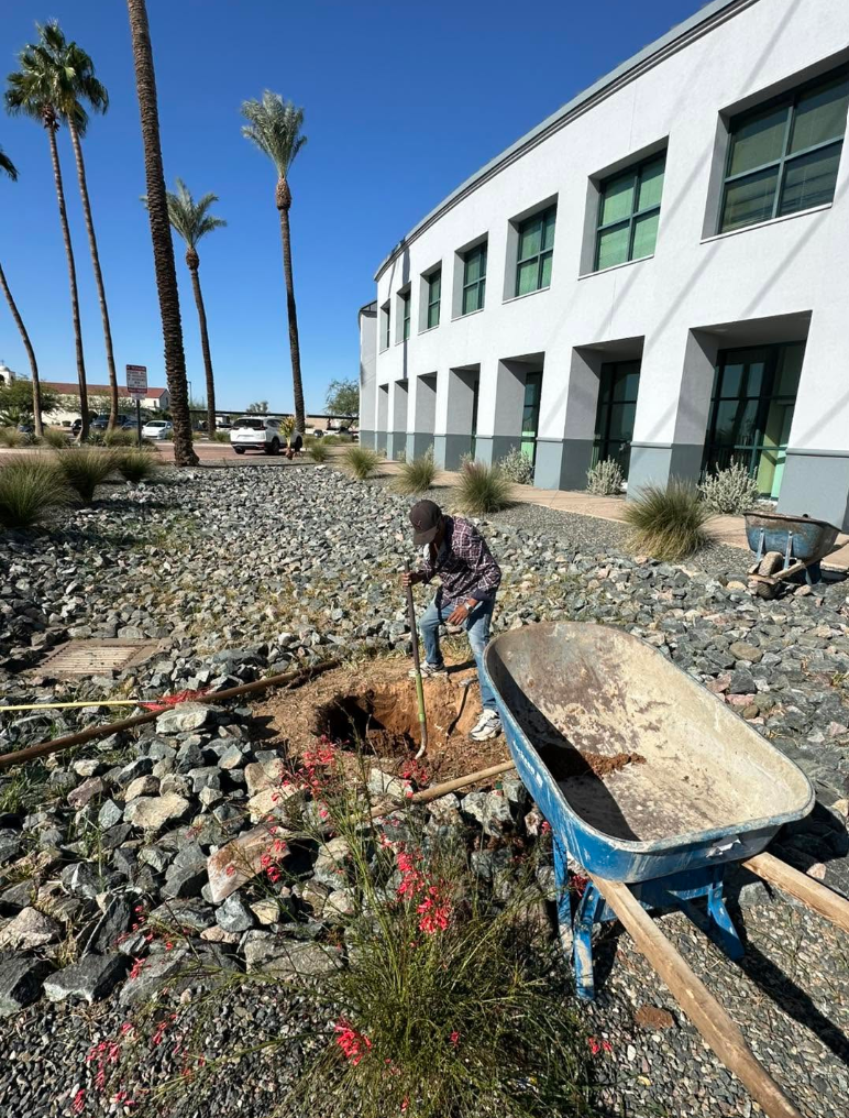 Hardscape & Paver Layouts